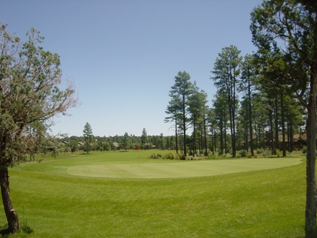 Bison Golf Club