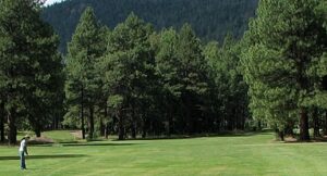 alpine-country-club-arizona-photograph