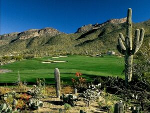 arizona-national-14-desert-photograph-arizona-golf-authority
