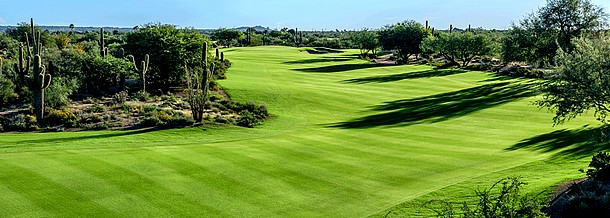 Desert Forest Golf Club